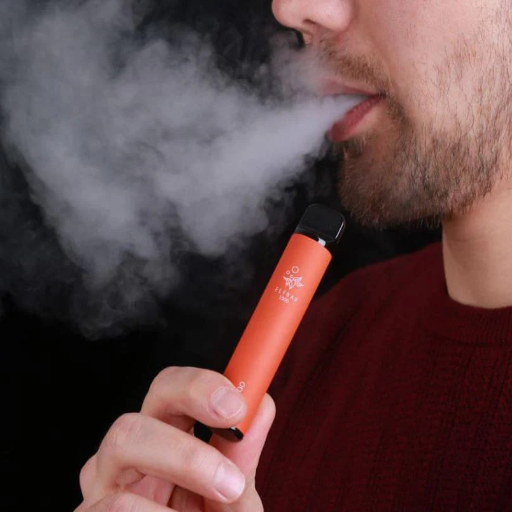 What Do Users Say About Their Vaping Experience with the Elf Bar?